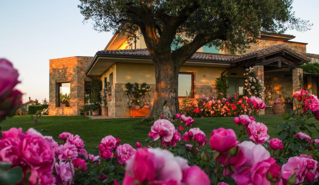 Bed and Breakfast Il Giardino delle Rose Santa Maria Nuova  Esterno foto