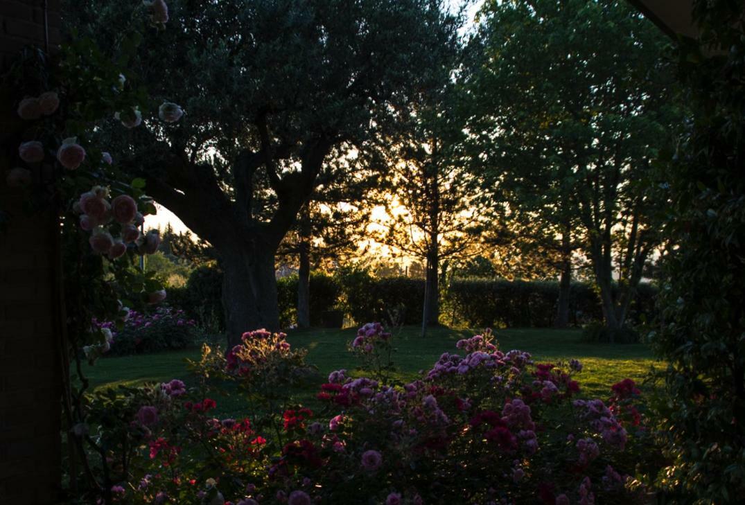 Bed and Breakfast Il Giardino delle Rose Santa Maria Nuova  Esterno foto